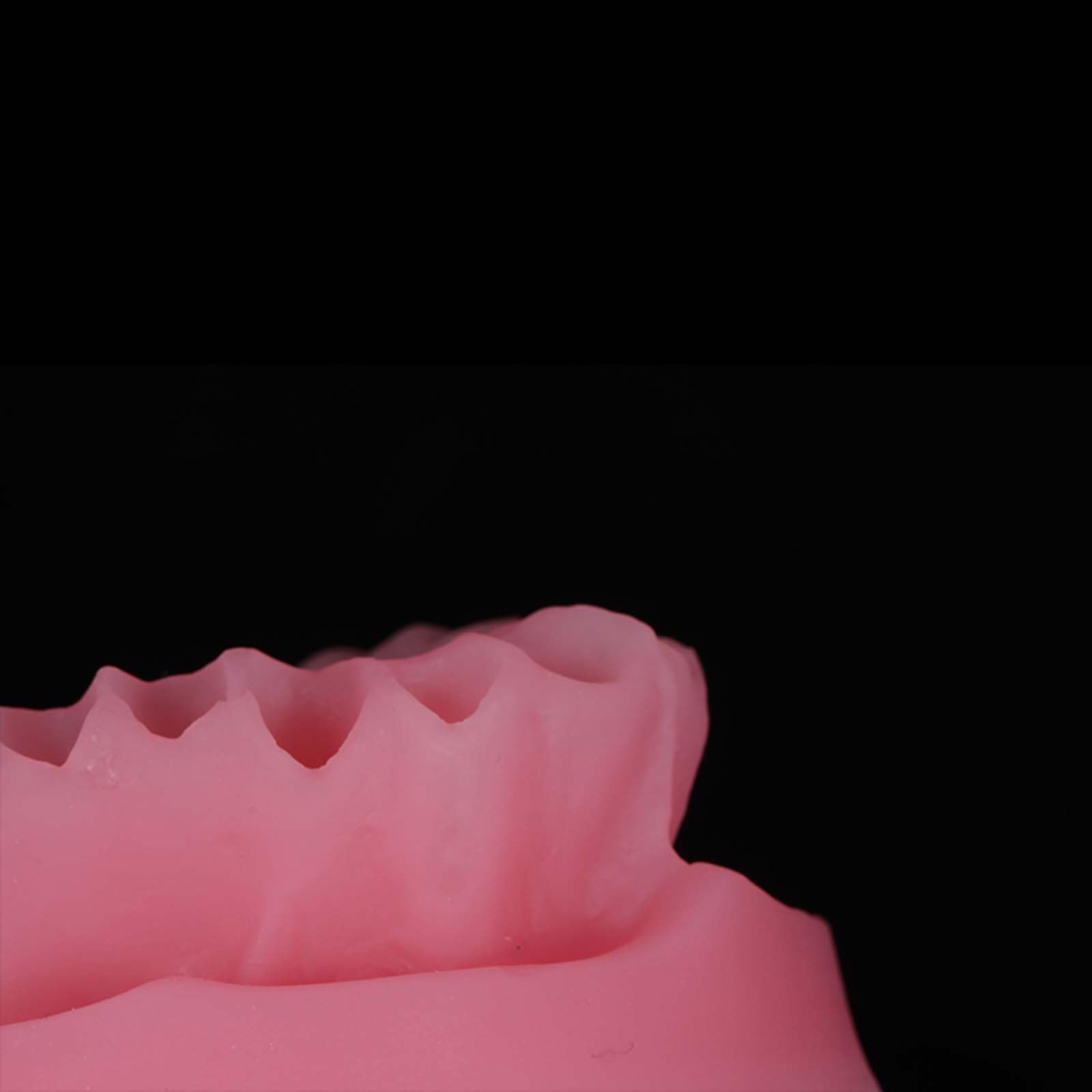 Modello espositivo per Protesi Dentarie Manichino Dentale Modello didattico per odontoiatria Orale Stampi per odontoiatria Orale,B