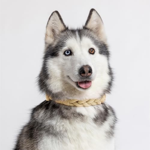 2026 New Edition, Fei & Eve Hand-Braided SP Cotton Martingale Collar – No-Pull, Gentle Design for Dog Neck – No Buckle, Heavy-Duty & Secure – The Thoughtful Gift for Dog Lovers, Small, Champagne by Fei and Eve - Image 7