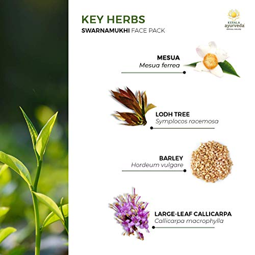 Kerala Ayurveda Swarnamukhi Face Pack With Lotus & Saffron - Cleanses & Gently Exfoliates Dead Skin For All Sensitive And Oily Skin, 1.7 Oz #TOP6