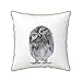 RBAZYFXUJ Funda de almohada de 45 x 45 cm, fundas de cojín de búho, fundas de almohada cuadradas para sala de estar, sofá y dormitorio