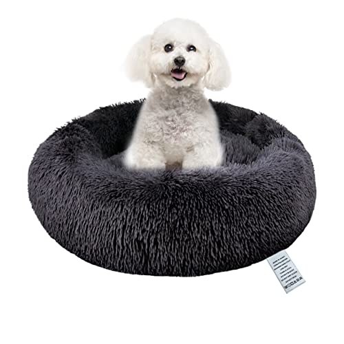 Top 10 Dog Bed For Small Dogs of 2023 Best Reviews Guide