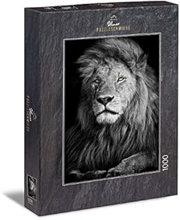 Ulmer Puzzleschmiede - Puzzle The Lion - 1000 pieces jigsaw puzzle - powerful lion on black background