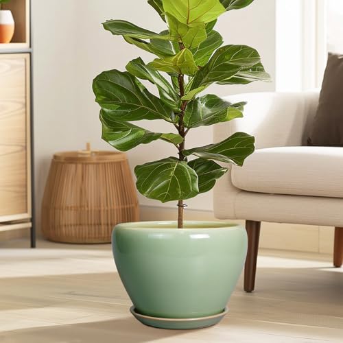 Ceramicfor Ceramic Planter Pot - 10 Inch Plant Pot for Indoor Plants Decorative Planter with Drainage Hole and Saucer Large Pot for Plants Outdoor Round Flower Pot for Garden Green by Ceramicfor - Used condition - Image 2