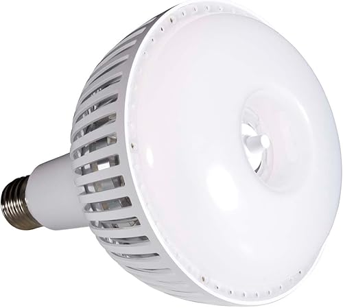Satco S23113 - Lámpara de repuesto LED de 80 W 5000 K HID Mogul con base extendida, 10.12 pulgadas de largo y 7.48 pulgadas de ancho
