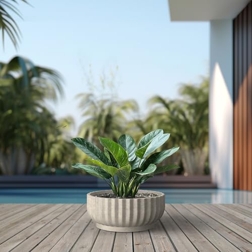 Kante Round Fulted Bowl Planter, 20.9 Inch Dia Large Concrete Flower Pots with Drainage Hole and Rubber Plug, Suitable for for Indoor Outdoor Plants, Home, Patio, Garden, Weathered Concrete by Kante - Image 6