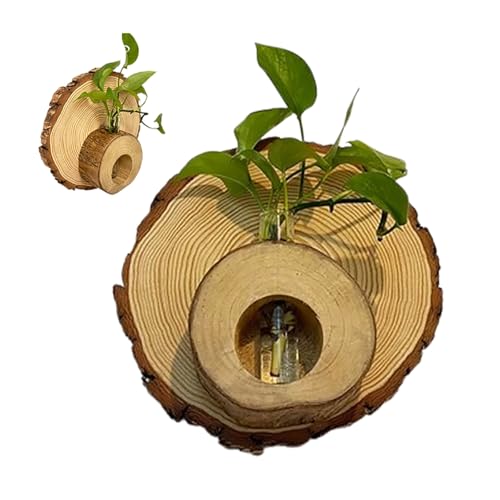 オフィスの壁装飾 植物繁殖ステーション 吊り下げプランター エアガラス 植木鉢 花瓶 コンテナ 窓 写真フレーム 屋外 屋内 屋外 リビングルーム ガーデン用ホルダー