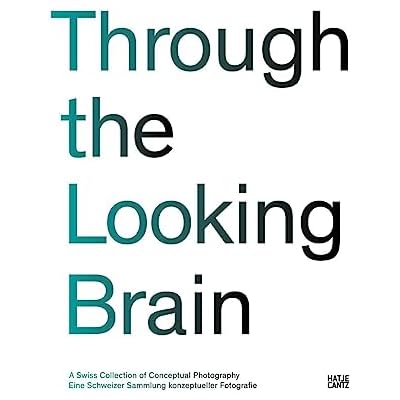 Through the Looking Brain