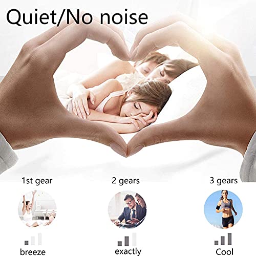 Ventilateur de plafond moderne avec lustre acrylique dimmable