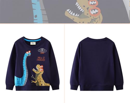 Boys Sweatshirts Casual Sweatshirts Cotton Sweatshirts Long Sleeve T-shirts Crew Neck Cartoon Tops for Boys-1064