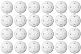 Fat Pipe Floorball Ball Set 24 Stück Team Edition - Unihockey...