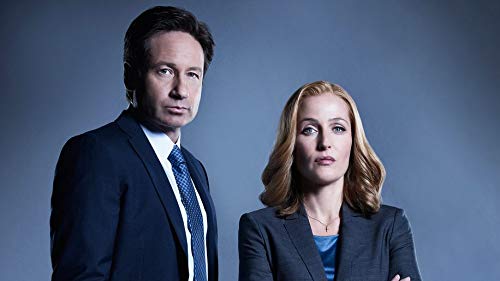 TianSW The X-Files (25inch x 14inch/62cm x 35cm) Waterproof Poster No Fading