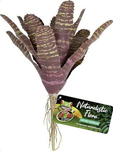 Zoo Med Naturalistic Flora Chestnut Bromeliad for Terrarium and Paludarium