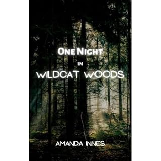 One Night in Wildcat Woods Audiolibro Por Amanda Innes arte de portada