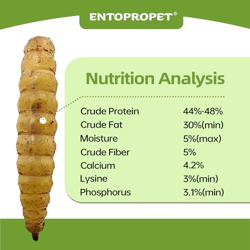 Entopropet 10lbs Dried Black Soldier Fly Larvae - More Calcium and Richer Protein Than MealWorms, Non-GMO, Treat for Chickens,Ducks,Birds - Thumbnail 4