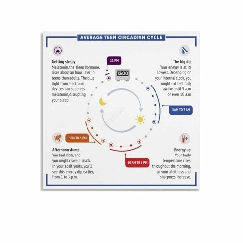 Circadian Rhythm Biological Clock Chart Poster Sleep Guide (6) Canvas