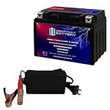 Mighty Max Battery YTZ12S 12V 11AH Battery for Honda Shadow Super Hawk + 12V 2Amp Charger
