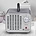 Enerzen O-555-60,000mg Industrial Ozone Generator O3 Air Purifier Deodorizer, Silver