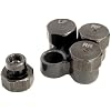Lisle 19860 Tire Deflator