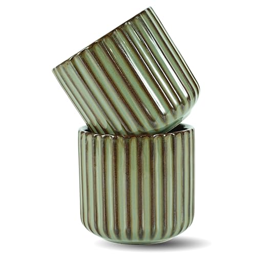 Erkundpresso. - 2 x 180 ml Tazas de Café de Cerámica sin Asa - Tazas de Café para Espresso para agua y té - Resistentes al Calor - Colores Retro - Juego de regalo -Gris Erkundpresso. - 2 x 180 ml Tazas de Café de Cerámica sin Asa - Tazas de Café para Espresso para agua y té - Resistentes al Calor - Colores Retro - Juego de regalo -Gris