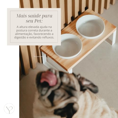 Comedouro Elevado CozyNook 2 Tigelas em Cerâmica Para Cães e Gatos Base Metálica Design Sofisticado