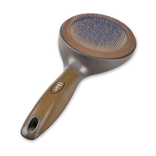 KONG – ZoomGroom – Bürste zur Hundepflege und zum Shampoonieren – Für Große Hunde (Rot) 8 Oster Zupfbürste - klein Premium