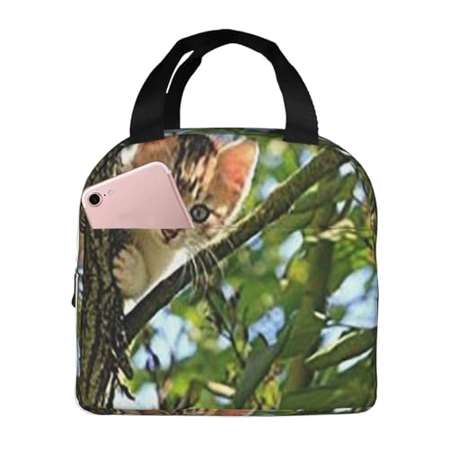 ۗ⃉`obO e h MRh~ ŏv ʋ΁AʊwAAEghAɕ֗ jp (ؔL̒px)