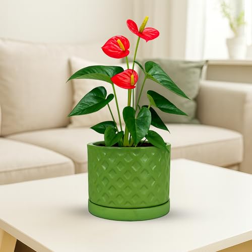 Image of Urban Plant Terracotta Pot with Saucer - Trendy Planter for Modern Home & Garden Spaces (Fresh Breath Terracotta Pot - Diamond)