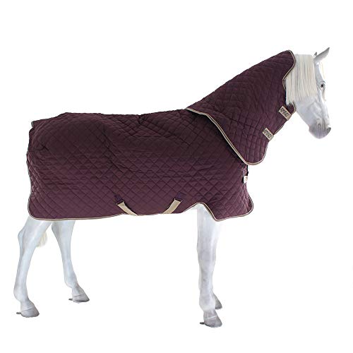 Couverture d'écurie Amigo Plus Horseware pour cheval au box respirante - 6
