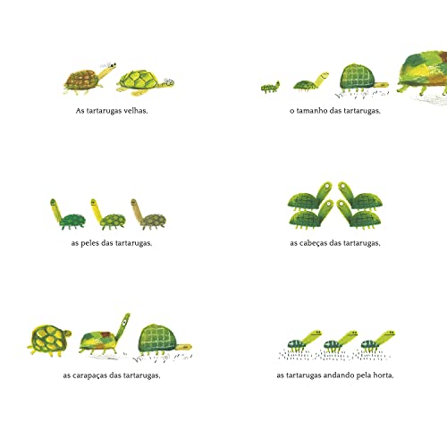 Tartaruga
