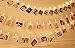 WELOVE LM-0219-1 LED Photo Clip String Lights Home Decor Indoor/Outdoor, Battery Powere, Black