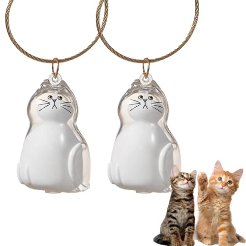 Llavero Conmemorativo P-elo Mascota, 2 Unidades Colgante Recuerdo para Guardar P-elo, Colgante Cápsula Keepsake Llavero P elo De Gato, Accesorio De Recuerdo Para Mascotas de Gato para Mochila
