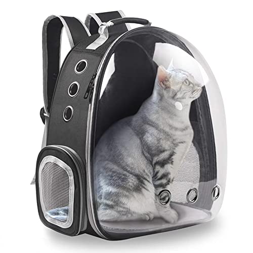 Cat Bubble Backpack The 15 best products compared Wild Explained