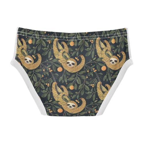 visesunny Boys Potty Training Underwear Cartoon Funny Sloth Breathe Cotton Briefs Size 2T-8Y for Toddler2