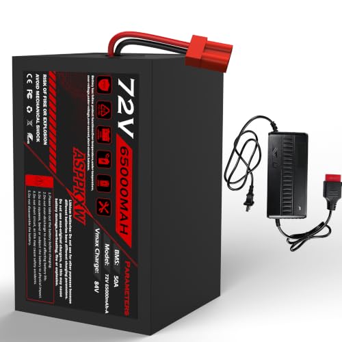 ASPPKXW 72V 65Ah Car Cells Battery
