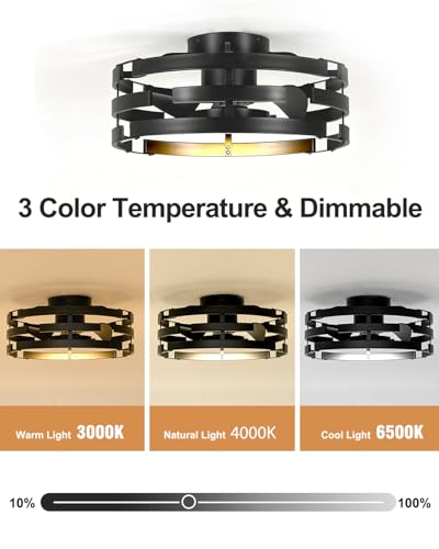 Image of Roomratv Fandelier Ceiling Fan with Light, 20 inch Flush Mount Metal Caged Enclosed Blades with Remote, Low Profile Farmhouse Fan Light for Bedroom Kitchen Living Room Office - Black