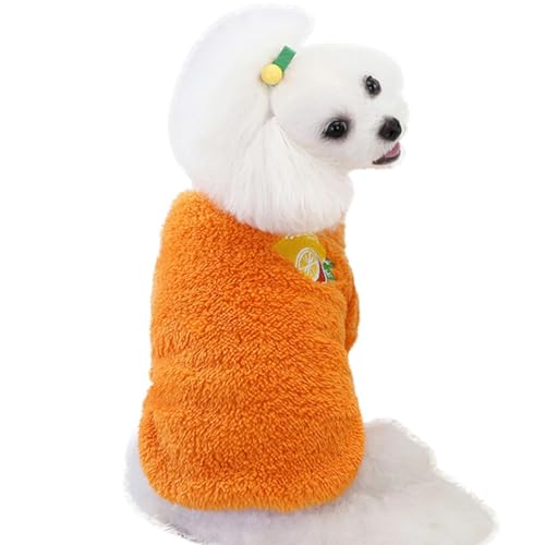 Suéter de pelúcia quente para animais de estimação – roupas de inverno fofas para filhotes, frutas d