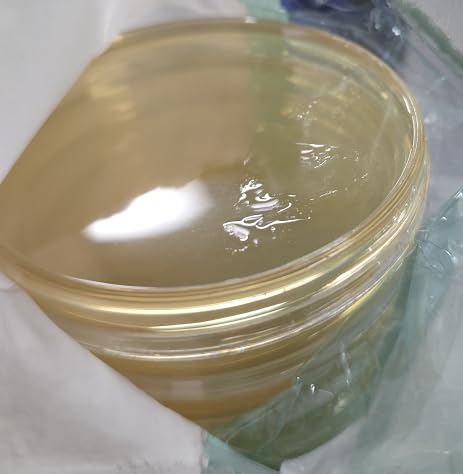 Mold Test Kit for Home, 14PCS