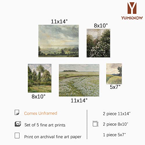 French Country Large 11X14 Gallery Of 5 Wall Art Decor - Boho Art Deco Victoria Picture - Modern Farmhouse Kitchen Poster Print - Aesthetic Vintage Landscape Set - Sage Green Forest Tree Spring Summer #TOP1