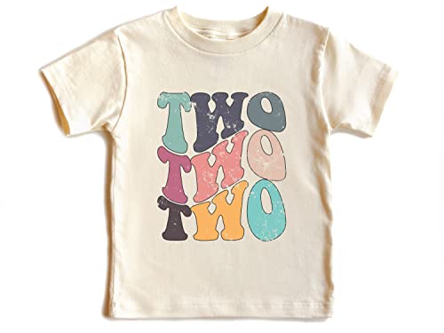 Two Year Birthday Shirt, Toddlers 2nd Birthday Shirt, Groovy Two Year Shirt