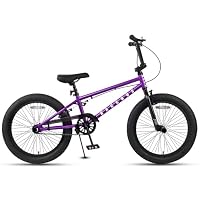 Amazon.co.jp: AVASTA Bacchus BMX自転車 20インチ フリースタイルBMX