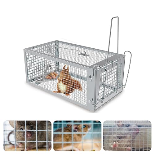 Humane Rat Trap Chipmunk Rodent Trap that Work for Indoor and Outdoor Small Animal - Mouse Voles Hamsters Live Cage Catch and Release 1 Pack