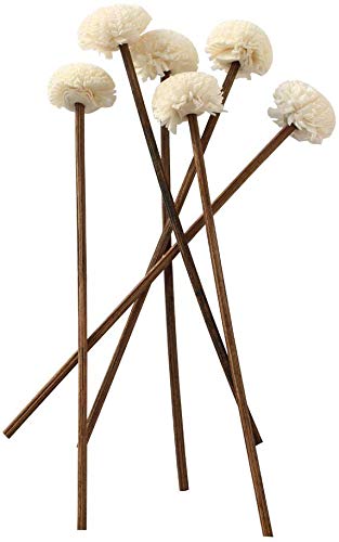 jecengs Conjunto de 30 difusores de fragrância de vime castanho e substituição de flores de substituição de varetas de rotim, hastes de madeira de rotim, difusor de garrafas de vidro