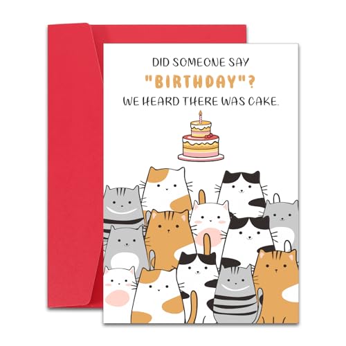 Raddimelo o[Xf[J[h fB[X Y Flւ̖ʔaMtg 킢aJ[h q  o Z  j a NX}X LDւ̃Mtg