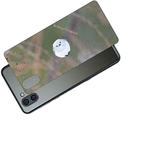 ClearView AQUOS R3Ή wʕیtB 킢V}GiK̃vg(Photo by )