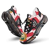 Florida State Flag Paisley Pattern Printed Men's Sneaker Funny Lightweight Running Shoe Tennis Shoes for Men 11women/8.5men（EUR42）