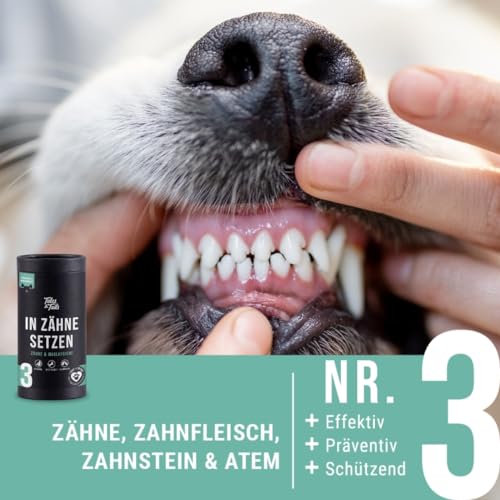 Tales & Tails In Zähne setzen Zahnpflege-Snack für Hunde, Allergiker geeignet, Getreidefrei - 1 Dose 325g