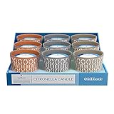 OutDoozie 8048437 4 in. Ceramic Zander Dash Citronella Candle - Assorted Color - Pack of 999
