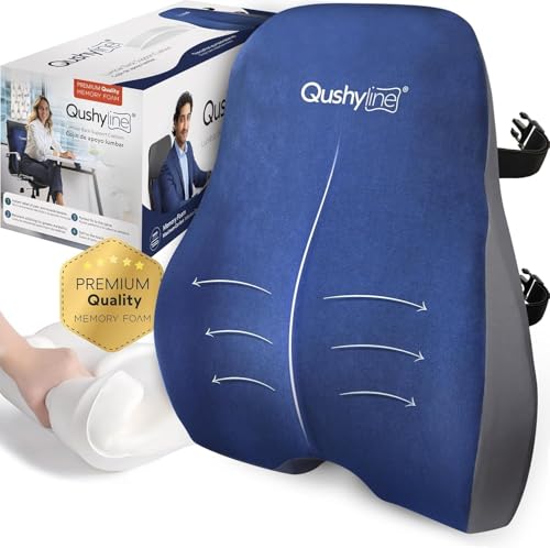 QushyLine Cojín Lumbar Silla Oficina Ergonómico, Alivia el Dolor Espalda, Respaldo Lumbar Silla Oficina Viscoelástico, Cojin Silla Respaldo Asiento Coche Almohada Lumbar y Correas Ajustables