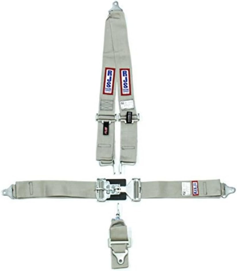 RJS Racing Equipment 1126203 Harness System