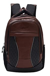 F Gear President Brown 30 Liter Laptop Backpack SCH Bag
